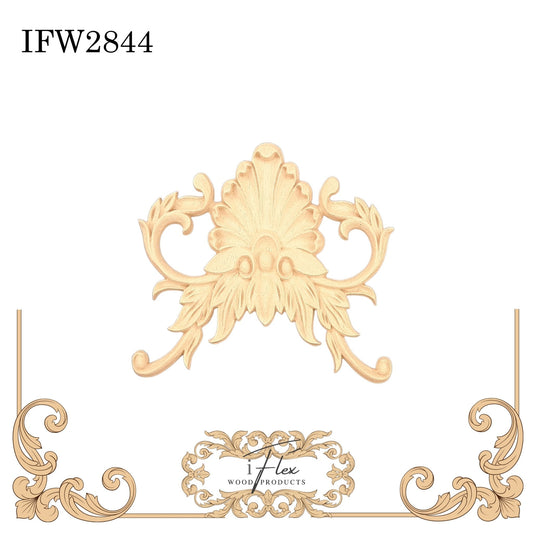 IFW 2844