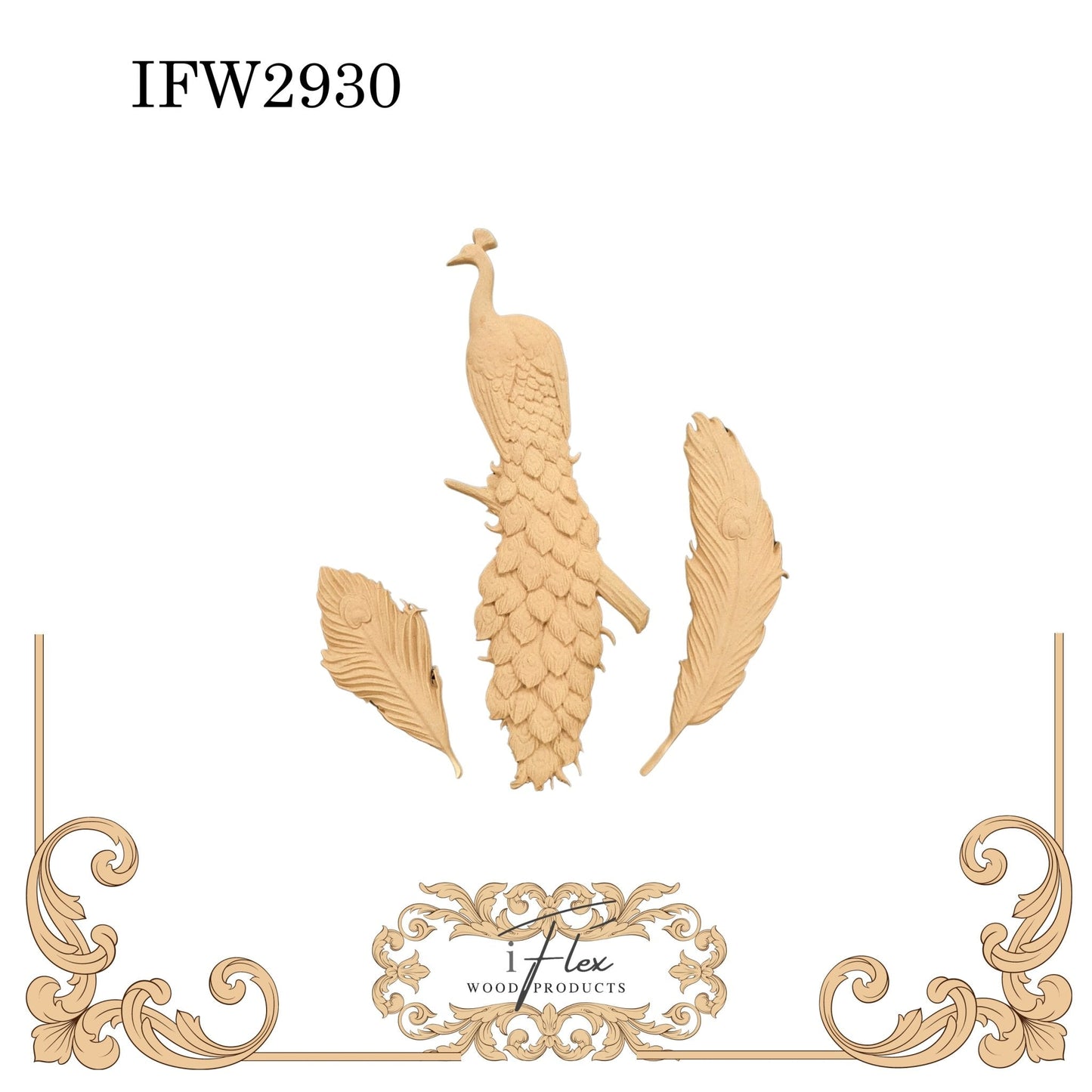 IFW 2930